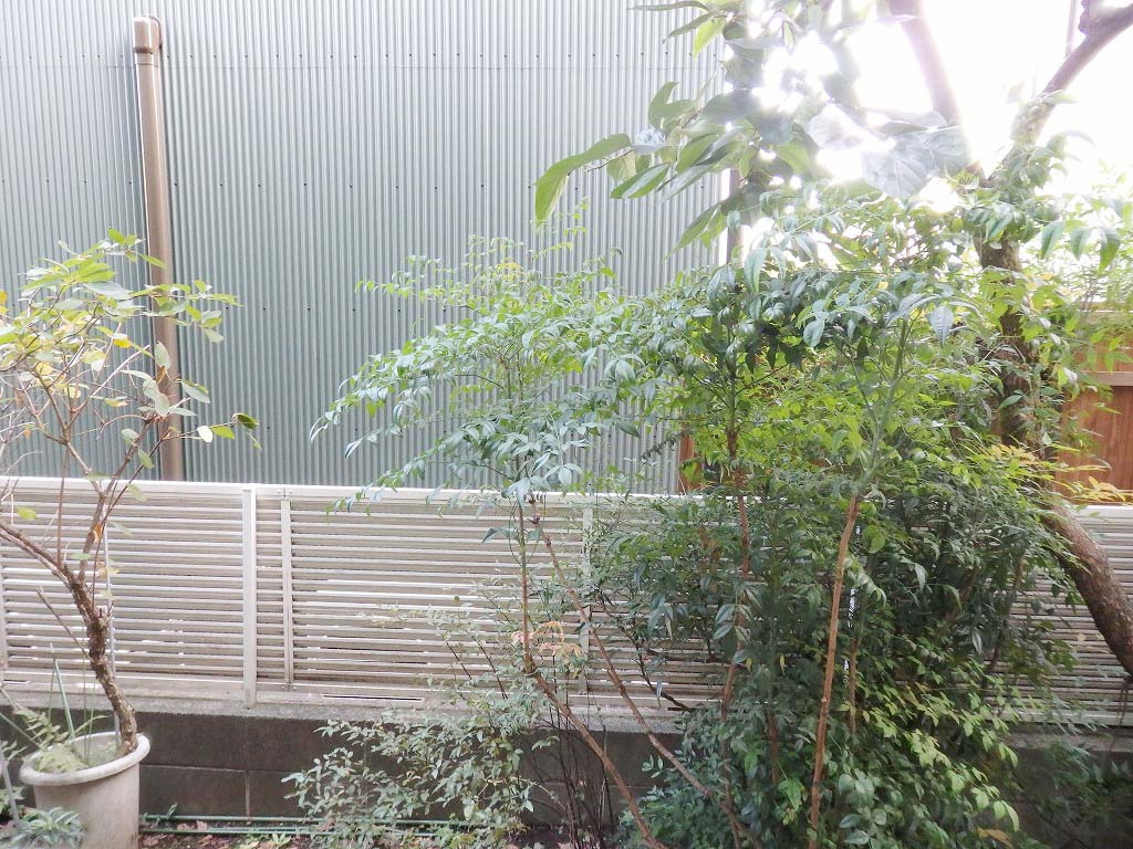 部屋からの眺望