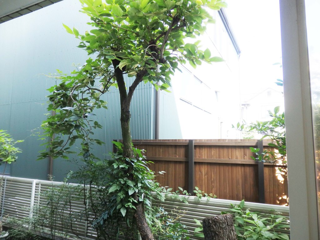 部屋からの眺望