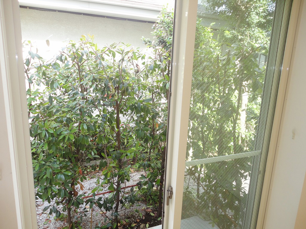 部屋からの眺望 部屋からの眺望