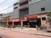 スーパー 株式会社大丸ピーコック 石川台店 377m スーパー 株式会社大丸ピーコック 石川台店 377m