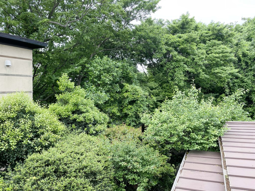 部屋からの眺望 部屋からの眺望