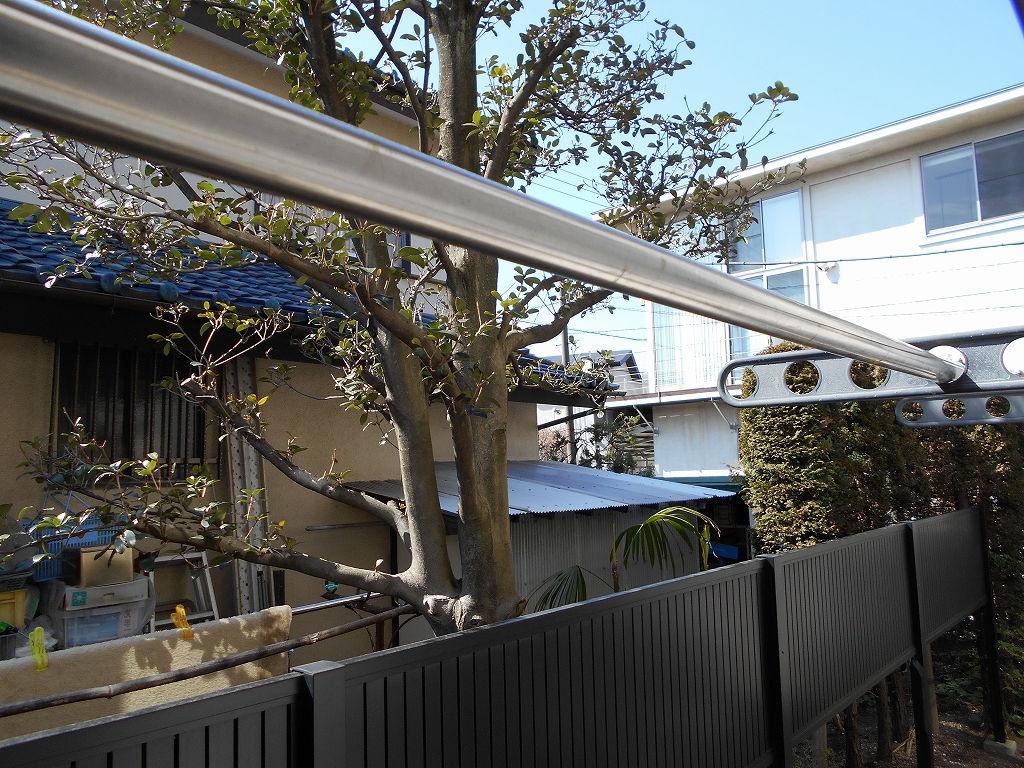 部屋からの眺望