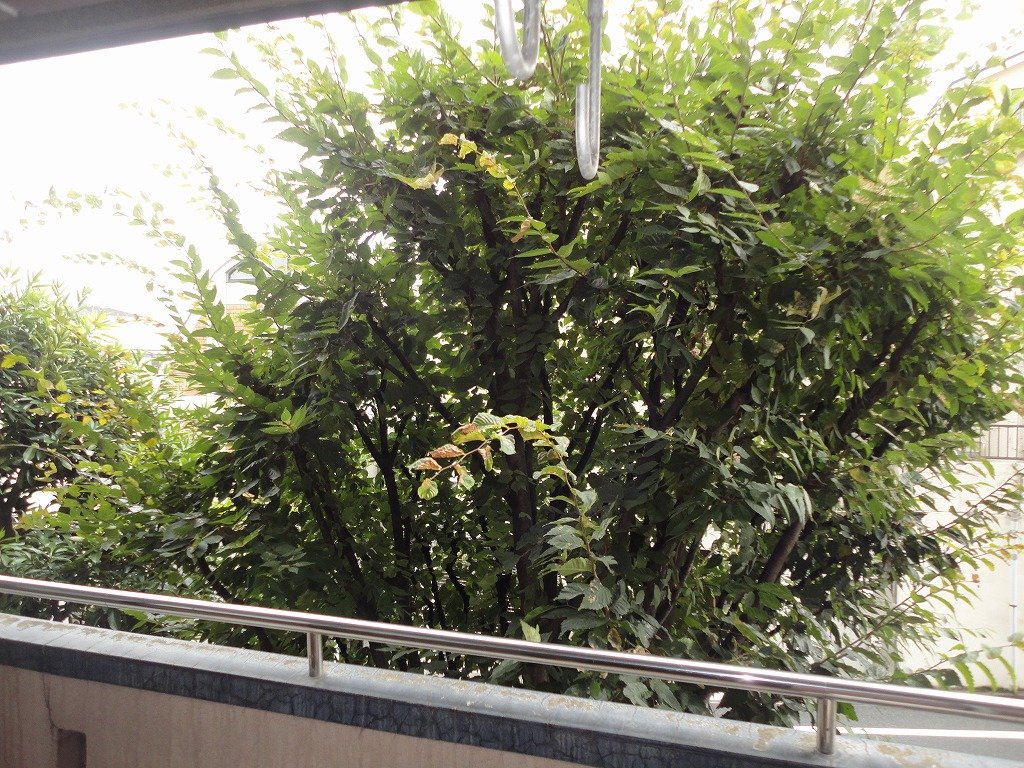 部屋からの眺望