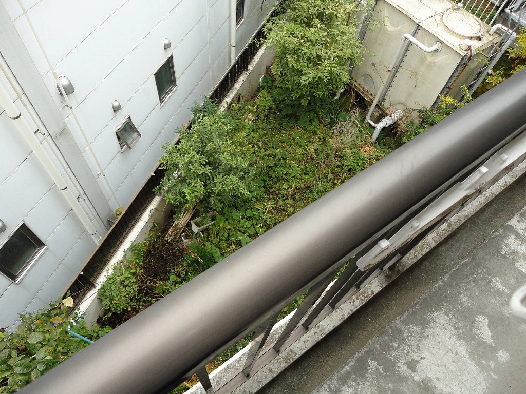 部屋からの眺望