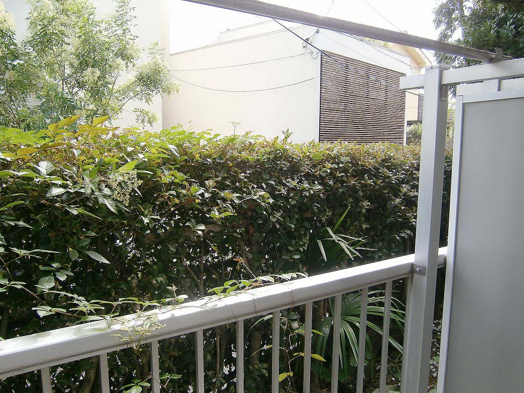 部屋からの眺望